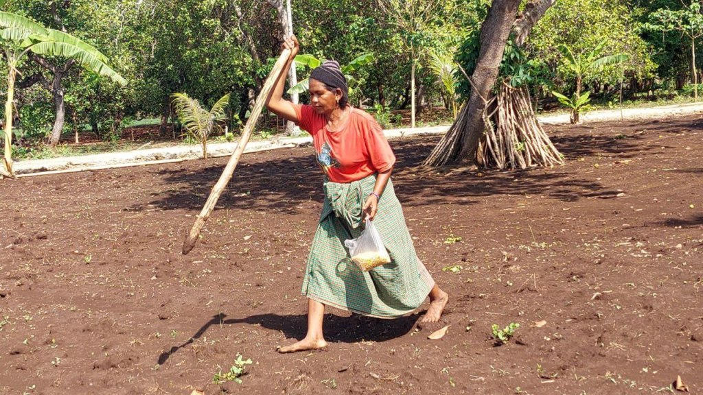 Memahami Program BangKIT dari Perspektif&nbsp;GEDSI